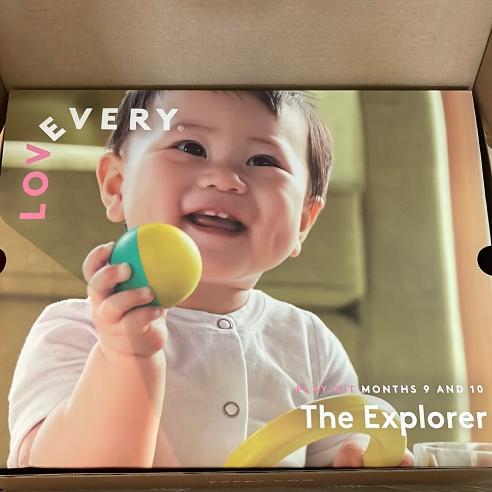 Lovevery toy kit - 9-10 month